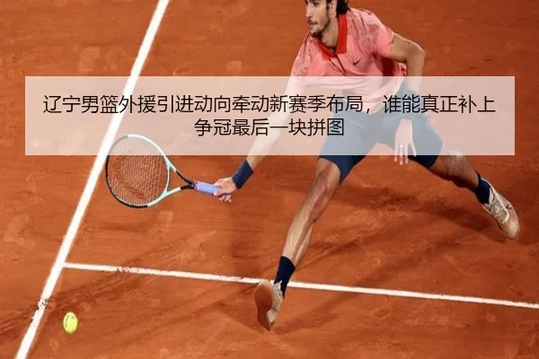 辽宁男篮外援引进动向牵动新赛季布局，谁能真正补上争冠最后一块拼图 - MK Sports